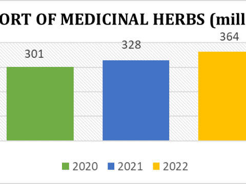 THE IMPORT AND EXPORT OF MEDICINAL HERBS IN VIETNAM 2021-2022